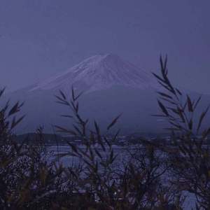 毛茸茸多毛BBBBB毛多
